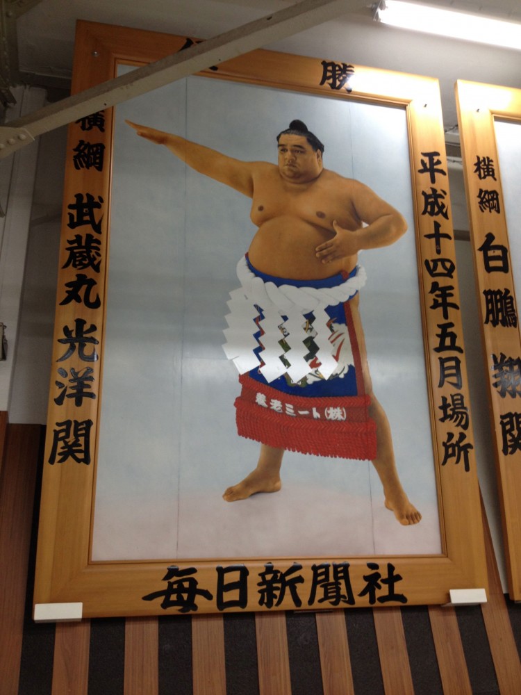 sumo 5